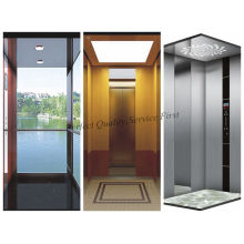 Hot Sale 0.4m/S Passenger Elevator Home Lift Without Machine Room
